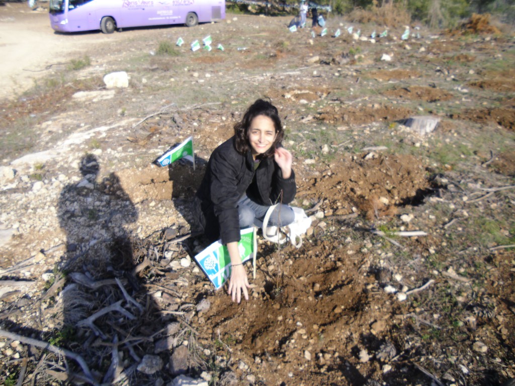 JNF tree planting on Tu B'Shvat